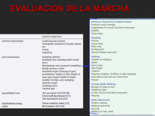 EVALUACION DE LA MARCHA 
 