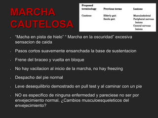 MARCHA 
CAUTELOSA 
• “Macha en pista de hielo” “ Marcha en la oscuridad” excesiva 
sensacion de caida 
• Pasos cortos suavemente ensanchada la base de sustentacion 
• Frene del braceo y vuelta en bloque 
• No hay vacilacion al inicio de la marcha, no hay freezing 
• Despacho del pie normal 
• Leve desequilibrio demostrado en pull test y al caminar con un pie 
• NO es especifico de ninguna enfermedad y pareciese no ser por 
envejecimiento normal. ¿Cambios musculoesqueleticos del 
envejecimiento? 
 