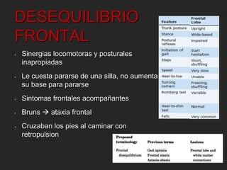 DESEQUILIBRIO 
FRONTAL 
• Sinergias locomotoras y posturales 
inapropiadas 
• Le cuesta pararse de una silla, no aumenta 
su base para pararse 
• Sintomas frontales acompañantes 
• Bruns  ataxia frontal 
• Cruzaban los pies al caminar con 
retropulsion 
 