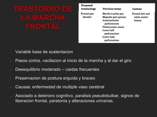 TRASTORNO DE 
LA MARCHA 
FRONTAL 
• Variable base de sustentacion 
• Pasos cortos, vacilacion al inicio de la marcha y al dar el giro 
• Desequilibrio moderado – caidas frecuentes 
• Preservacion de postura erguida y braceo 
• Causas: enfermedad de multiple vaso cerebral 
• Asociado a deterioro cognitivo, paralisis pseudobulbar, signos de 
liberacion frontal, paratonia y alteraciones urinarias. 
 