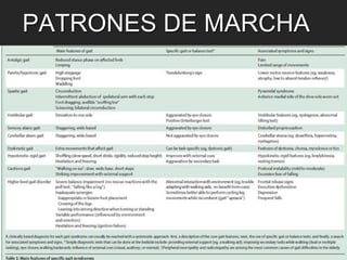 PATRONES DE MARCHA 
 
