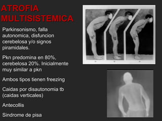 ATROFIA 
MULTISISTEMICA 
Parkinsonismo, falla 
autonomica, disfuncion 
cerebelosa y/o signos 
piramidales. 
Pkn predomina en 80%, 
cerebelosa 20%. Inicialmente 
muy similar a pkn 
Ambos tipos tienen freezing 
Caidas por disautonomia tb 
(caidas verticales) 
Antecollis 
Sindrome de pisa 
 