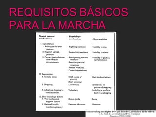 REQUISITOS BÁSICOS 
PARA LA MARCHA 
 