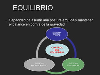 EQUILIBRIO 
• Capacidad de asumir una postura erguida y mantener 
el balance en contra de la gravedad 
SISTEMA 
VISUAL 
CONTROL 
DEL 
EQUILIBRIO 
SISTEMA 
VESTIBULAR 
SISTEMA 
PROPIOCEPTIVO 
 