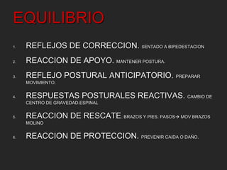 EQUILIBRIO 
1. REFLEJOS DE CORRECCION. SENTADO A BIPEDESTACION 
2. REACCION DE APOYO. MANTENER POSTURA. 
3. REFLEJO POSTURAL ANTICIPATORIO. PREPARAR 
MOVIMIENTO. 
4. RESPUESTAS POSTURALES REACTIVAS. CAMBIO DE 
CENTRO DE GRAVEDAD.ESPINAL 
5. REACCION DE RESCATE. BRAZOS Y PIES. PASOS MOV BRAZOS 
MOLINO 
6. REACCION DE PROTECCION. PREVENIR CAIDA O DAÑO. 
 