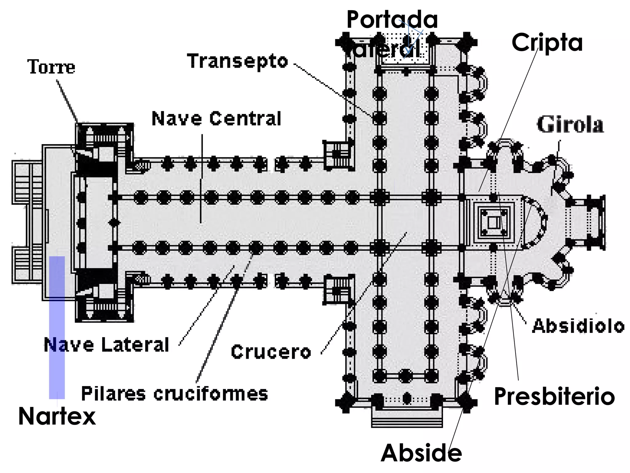 Cripta 
Nartex 
Abside 
Presbiterio 
Portada 
lateral 
 