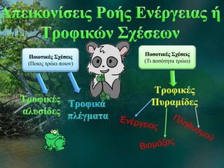 Ποιοτικές Σχέσεις 
(Ποιος τρώει ποιον) 
Ποσοτικές Σχέσεις 
(Τι ποσότητα τρώει) 
 