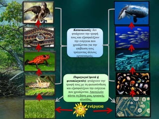 Καταναλωτές: δεν 
φτιάχνουν την τροφή 
τους και εξασφαλίζουν 
την ενέργεια που 
χρειάζονται για την 
επιβίωση τους 
τρώγοντας άλλους 
οργανισμούς. 
Παραγωγοί (φυτά ή 
φυτοπλαγκτόν): φτιάχνουν την 
τροφή τους με τη φωτοσύνθεση 
και εξασφαλίζουν την ενέργεια 
που χρειάζονται. Αποτελούν 
πάντα τη βάση μιας τροφικής 
αλυσίδας. 
ενέργεια 
 