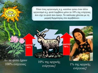Όταν ένας οργανισμός π.χ. κατσίκα τρώει έναν άλλο 
οργανισμό π.χ. φυτό λαμβάνει μόνο το 10% της ενέργειας 
που είχε το φυτό που έφαγε. Το υπόλοιπο χάνεται με τη 
μορφή θερμότητας στο περιβάλλον. 
10% της αρχικής 
ενέργειας! 1% της αρχικής 
ενέργειας! 
θερμότητα 
90% 
Aν τα φυτά έχουν 
100% ενέργειας 
θερμότητα 
90% 
 