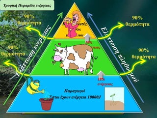 Καταναλωτές 
2ης τάξης 
Ενέργεια 100J 
Φυτοφάγοι 
10% 
ενέργειας 
(καταναλωτές 1ης τάξης) 
Ενέργεια 1000J 
Παραγωγοί 
Τροφική Πυραμίδα ενέργειας 
10% 
ενέργειας 
Έστω έχουν ενέργεια 10000J 
 
