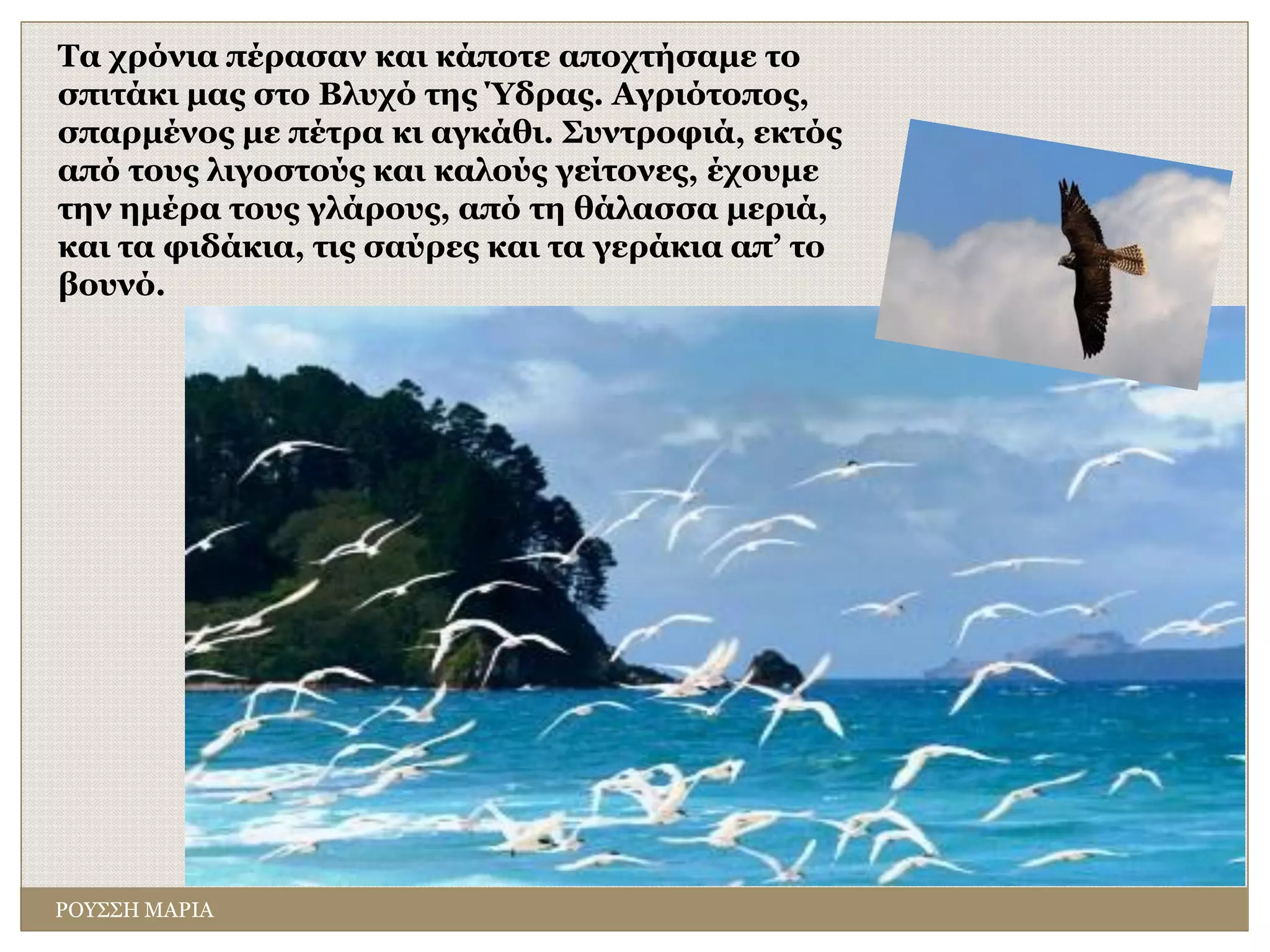 ΡΟΥΣΣΗ ΜΑΡΙΑ
Τα χρόνια πέρασαν και κάποτε αποχτήσαμε το
σπιτάκι μας στο Βλυχό της Ύδρας. Αγριότοπος,
σπαρμένος με πέτρα κι αγκάθι. Συντροφιά, εκτός
από τους λιγοστούς και καλούς γείτονες, έχουμε
την ημέρα τους γλάρους, από τη θάλασσα μεριά,
και τα φιδάκια, τις σαύρες και τα γεράκια απ’ το
βουνό.
 