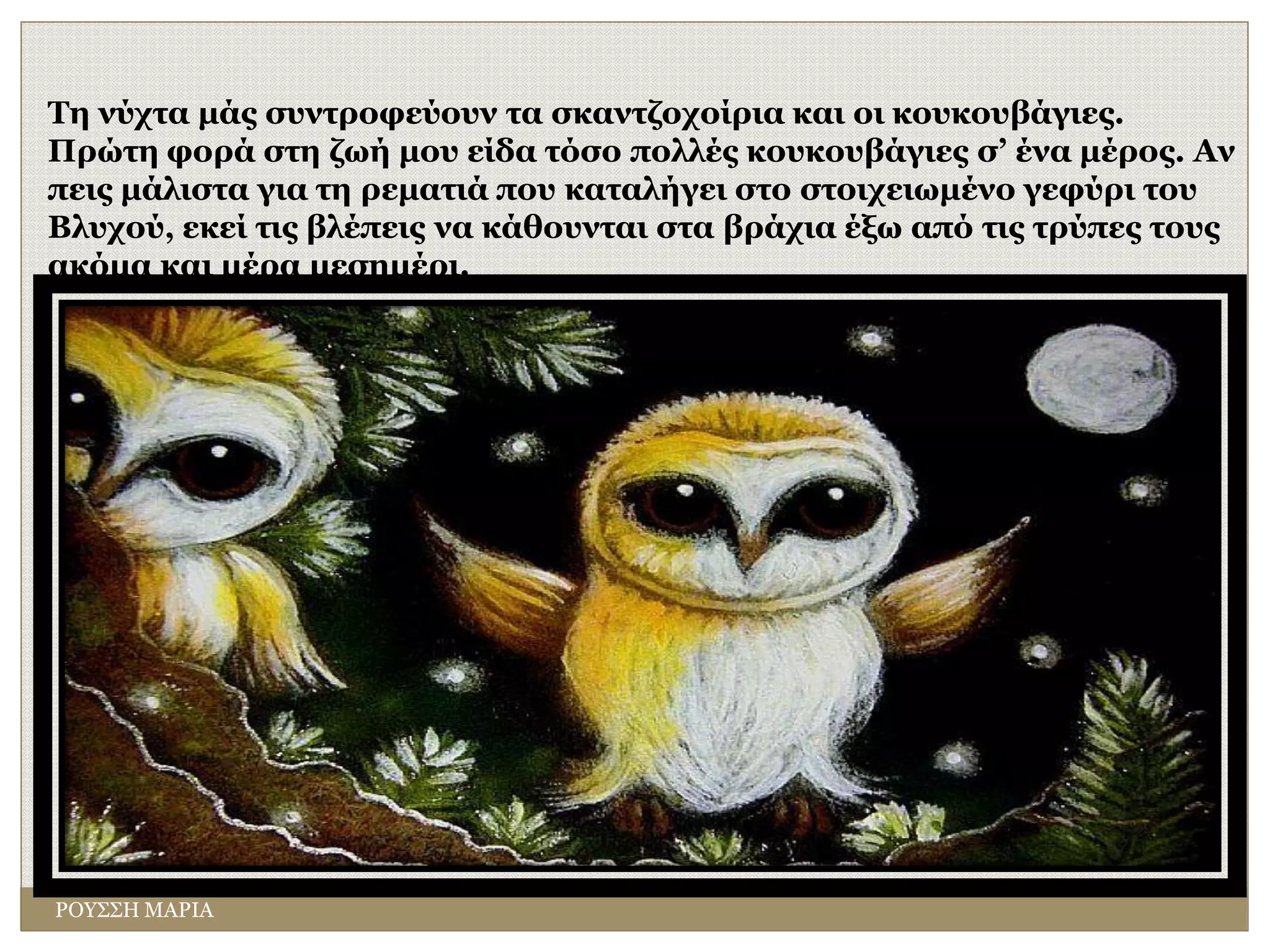 ΡΟΥΣΣΗ ΜΑΡΙΑ
Τη νύχτα μάς συντροφεύουν τα σκαντζοχοίρια και οι κουκουβάγιες.
Πρώτη φορά στη ζωή μου είδα τόσο πολλές κουκουβάγιες σ’ ένα μέρος. Αν
πεις μάλιστα για τη ρεματιά που καταλήγει στο στοιχειωμένο γεφύρι του
Βλυχού, εκεί τις βλέπεις να κάθουνται στα βράχια έξω από τις τρύπες τους
ακόμα και μέρα μεσημέρι.
 