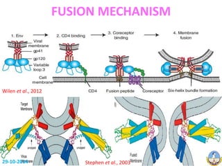 FUSION MECHANISM 
Stephen et al., 2003 
Wilen et al., 2012 
29-10-2014 
 