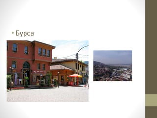 • Бурса 
 
