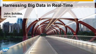 Harnessing Big Data in Real-Time
John Schitka,
SAP, Big Data
 