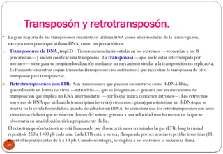 Retrotranscriptasa Inversa REPLICACION del ADN, característcas en procariota y eucariota. Modelo ...