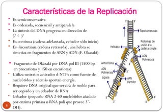 REPLICACION del ADN, característcas en procariota y eucariota. Modelo ...