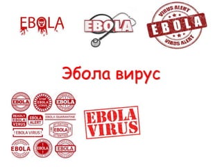 Эбола вирус
 