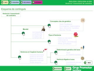 BIOLOGIA I GEOLOGIA 4t ESO
Herència i transmissió de caràcters
INICI ESQUEMA RECURSOS INTERNET
SURTANTERIOR
Esquema de continguts
Conceptes clau de genètica
Gens i localització
Homozigòtics i heterozigòtics
Gens dominants i recessius
Genotip i fenotip
Tipus d’herència
Herència intermèdia
Codominància
Gens lligats i recombinació
Arbres genealògics
Determinació genètica del sexe
Tipus
En l’espècie humana
Mendel
Les experiències
La primera llei
La segona llei
La tercera llei
Herència lligada al sexe
Cromosomes sexuals
Cromosoma X
Herència i transmissió
de caràcters
Herència en l’espècie humana
Caràcters fenotípics
Herència dominant
Herència recessiva
Diagnòstic prenatal
Grups sanguinis INICI
 