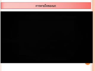 การหายใจของนก
 