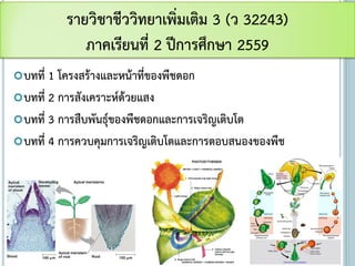 บทที่ 1 โครงสร้างและหน้าที่ของพืชดอก
บทที่ 2 การสังเคราะห์ด้วยแสง
บทที่ 3 การสืบพันธุ์ของพืชดอกและการเจริญเติบโต
บทที่ 4 การควบคุมการเจริญเติบโตและการตอบสนองของพืช
รายวิชาชีววิทยาเพิ่มเติม 3 (ว 32243)
ภาคเรียนที่ 2 ปีการศึกษา 2559
 