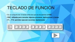 TECLADO DE FUNCIÓN
 Es un conjunto de 13 teclas entre las que se encuentran el ESC
 ESC: utilizada para cancelar algunos procesos, aplicaciones o tareas
 F1… F12: permiten ejecutar acciones rápidamente
 