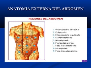 ANATOMIA EXTERNA DEL ABDOMENANATOMIA EXTERNA DEL ABDOMEN
 