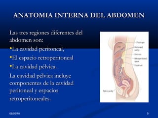 ANATOMIA INTERNA DEL ABDOMENANATOMIA INTERNA DEL ABDOMEN
Las tres regiones diferentes delLas tres regiones diferentes del
abdomen son:abdomen son:
•La cavidad peritoneal,La cavidad peritoneal,
•El espacio retroperitonealEl espacio retroperitoneal
•La cavidad pélvica.La cavidad pélvica.
La cavidad pélvica incluyeLa cavidad pélvica incluye
componentes de la cavidadcomponentes de la cavidad
peritoneal y espaciosperitoneal y espacios
retroperitonealesretroperitoneales..
08/05/18 5
 