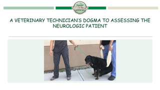 A VETERINARY TECHNICIAN’S DOGMA TO ASSESSING THE
NEUROLOGIC PATIENT
 