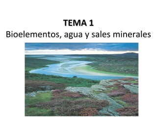 TEMA 1TEMA 1
Bioelementos, agua y sales minerales
 