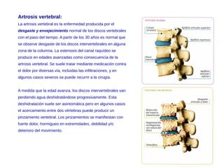 Artrosis vertebral:
La artrosis vertebral es la enfermedad producida por el
desgaste y envejecimiento normal de los discos vertebrales
con el paso del tiempo. A partir de los 30 años es normal que
se observe desgaste de los discos intervertebrales en alguna
zona de la columna. La estenosis del canal raquídeo se
produce en edades avanzadas como consecuencia de la
artrosis vertebral. Se suele tratar mediante medicación contra
el dolor por diversas vía, incluidas las infiltraciones, y en
algunos casos severos se puede recurrir a la cirugía.
A medida que la edad avanza, los discos intervertebrales van
perdiendo agua deshidratándose progresivamente. Esta
deshidratación suele ser asintomática pero en algunos casos
el acercamiento entre dos vértebras puede producir un
pinzamiento vertebral. Los pinzamientos se manifiestan con
fuerte dolor, hormigueo en extremidades, debilidad y/o
deterioro del movimiento.
 