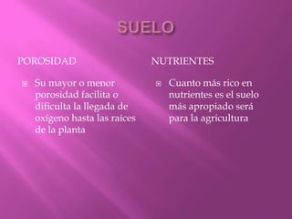 POROSIDAD NUTRIENTES
 Su mayor o menor
porosidad facilita o
dificulta la llegada de
oxígeno hasta las raíces
de la planta
 Cuanto más rico en
nutrientes es el suelo
más apropiado será
para la agricultura
 