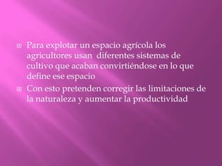  Para explotar un espacio agrícola los
agricultores usan diferentes sistemas de
cultivo que acaban convirtiéndose en lo que
define ese espacio
 Con esto pretenden corregir las limitaciones de
la naturaleza y aumentar la productividad
 