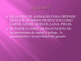  ES LA CRIA DE ANIMALES PARA OBTENER
DE ELLOS DIVERSOS PRODUCTOS COMO
CARNE, LECHE, HUEVOS, LANA, PIELES.
 SE PUEDE CLASIFICAR EN FUNCIÓN DE:
las inversiones de capital y trabajo, la
alimentación; y la movilidad del ganado
 