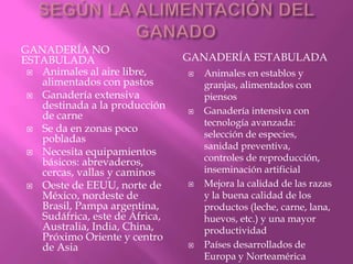 GANADERÍA NO
ESTABULADA GANADERÍA ESTABULADA
 Animales al aire libre,
alimentados con pastos
 Ganadería extensiva
destinada a la producción
de carne
 Se da en zonas poco
pobladas
 Necesita equipamientos
básicos: abrevaderos,
cercas, vallas y caminos
 Oeste de EEUU, norte de
México, nordeste de
Brasil, Pampa argentina,
Sudáfrica, este de África,
Australia, India, China,
Próximo Oriente y centro
de Asia
 Animales en establos y
granjas, alimentados con
piensos
 Ganadería intensiva con
tecnología avanzada:
selección de especies,
sanidad preventiva,
controles de reproducción,
inseminación artificial
 Mejora la calidad de las razas
y la buena calidad de los
productos (leche, carne, lana,
huevos, etc.) y una mayor
productividad
 Países desarrollados de
Europa y Norteamérica
 