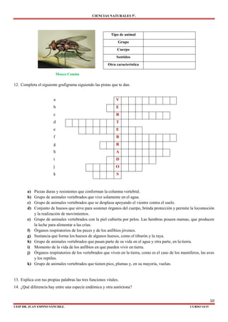 CIENCIAS NATURALES 5º.
10
CEIP DR. JUAN ESPINO SÁNCHEZ. CURSO 14/15
Mosca Común
12. Completa el siguiente grafigrama siguiendo las pistas que te dan.
a) Piezas duras y resistentes que conforman la columna vertebral.
b) Grupo de animales vertebrados que vive solamente en el agua.
c) Grupo de animales vertebrados que se desplaza apoyando el vientre contra el suelo.
d) Conjunto de huesos que sirve para sostener órganos del cuerpo, brinda protección y permite la locomoción
y la realización de movimientos.
e) Grupo de animales vertebrados con la piel cubierta por pelos. Las hembras poseen mamas, que producen
la leche para alimentar a las crías.
f) Órganos respiratorios de los peces y de los anfibios jóvenes.
g) Sustancia que forma los huesos de algunos huesos, como el tiburón y la raya.
h) Grupo de animales vertebrados que pasan parte de su vida en el agua y otra parte, en la tierra.
i) Momento de la vida de los anfibios en que pueden vivir en tierra.
j) Órganos respiratorios de los vertebrados que viven en la tierra, como es el caso de los mamíferos, las aves
y los reptiles.
k) Grupo de animales vertebrados que tienen pico, plumas y, en su mayoría, vuelan.
13. Explica con tus propias palabras las tres funciones vitales.
14. ¿Qué diferencia hay entre una especie endémica y otra autóctona?
Tipo de animal
Grupo
Cuerpo
Sentidos
Otra característica
a V
b E
c R
d T
e E
f B
g R
h A
i D
j O
k S
 