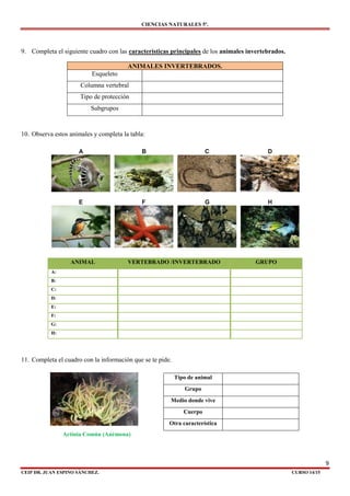 CIENCIAS NATURALES 5º.
9
CEIP DR. JUAN ESPINO SÁNCHEZ. CURSO 14/15
9. Completa el siguiente cuadro con las características principales de los animales invertebrados.
ANIMALES INVERTEBRADOS.
Esqueleto
Columna vertebral
Tipo de protección
Subgrupos
10. Observa estos animales y completa la tabla:
ANIMAL VERTEBRADO /INVERTEBRADO GRUPO
A:
B:
C:
D:
E:
F:
G:
H:
11. Completa el cuadro con la información que se te pide.
Tipo de animal
Grupo
Medio donde vive
Cuerpo
Otra característica
Actinia Común (Anémona)
 