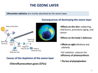 Átomo de
Cloro (Cl)
Ozono
(O₃)
Oxígeno
Molecular (O₂)
(ClO) Oxígeno
Atómico (O) Oxígeno
Molecular (O₂)
Rayos Ultravioleta
CFC
10
Átomo de
Cloro (Cl)
Ultraviolet radiation are mostly absorbed by the ozone layer.
Consequences of destroying the ozone layer
•Effects on the body´s defences
• Effects on sight: blindness and
cataracts.
•UV radiation reduces the
efficiency of photosynthesis
• The loss of phytoplankton
THE OZONE LAYER
Chlorofluorocarbon gases (CFCs)
Causes of the depletion of the ozone layer
•Effects on the skin: reddening,
mild burns, premature aging, and
cancer
 
