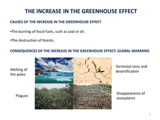 THE INCREASE IN THE GREENHOUSE EFFECTa
CAUSES OF THE INCREASE IN THE GREENHOUSE EFFECT
•The burning of fossil fuels, such as coal or oil.
•The destruction of forests.
CONSEQUENCES OF THE INCREASE IN THE GREENHOUSE EFFECT: GLOBAL WARMING
9
Plagues
Torrential rains and
desertification
Disappearance of
ecosystems
Melting of
the poles
 