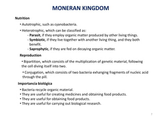 MONERAN KINGDOM
7
 