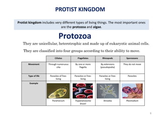 PROTIST KINGDOM
8
 