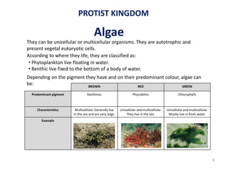 PROTIST KINGDOM
9
 