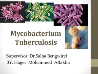 Mycobacterium
Tuberculosis
Supervisor :Dr.Salha Bengwiref
BY: Hager Mohammed Alfakhri
 