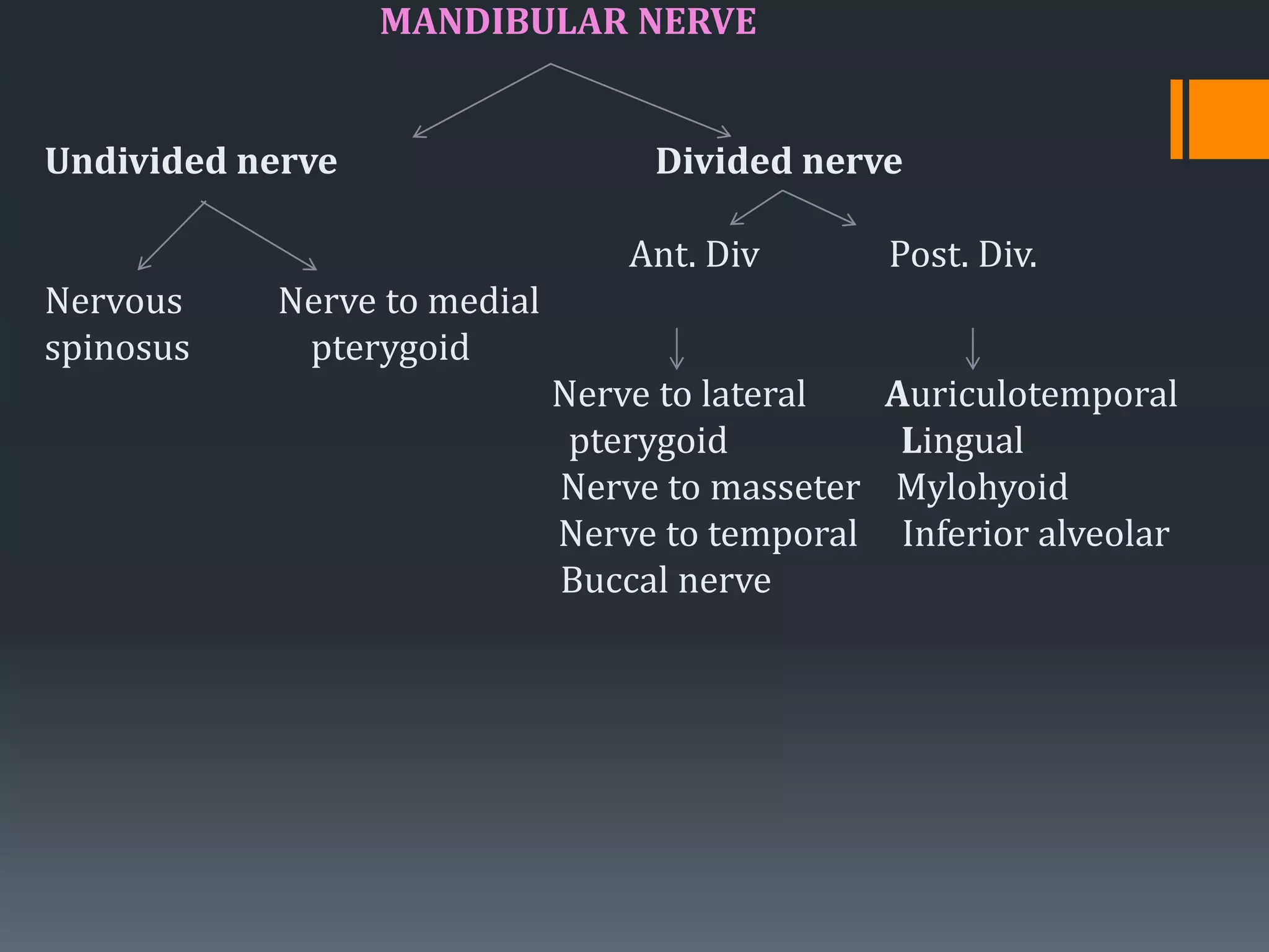 MANDIBULAR NERVE
Undivided nerve Divided nerve
Ant. Div Post. Div.
Nervous Nerve to medial
spinosus pterygoid
Nerve to lateral Auriculotemporal
pterygoid Lingual
Nerve to masseter Mylohyoid
Nerve to temporal Inferior alveolar
Buccal nerve
 