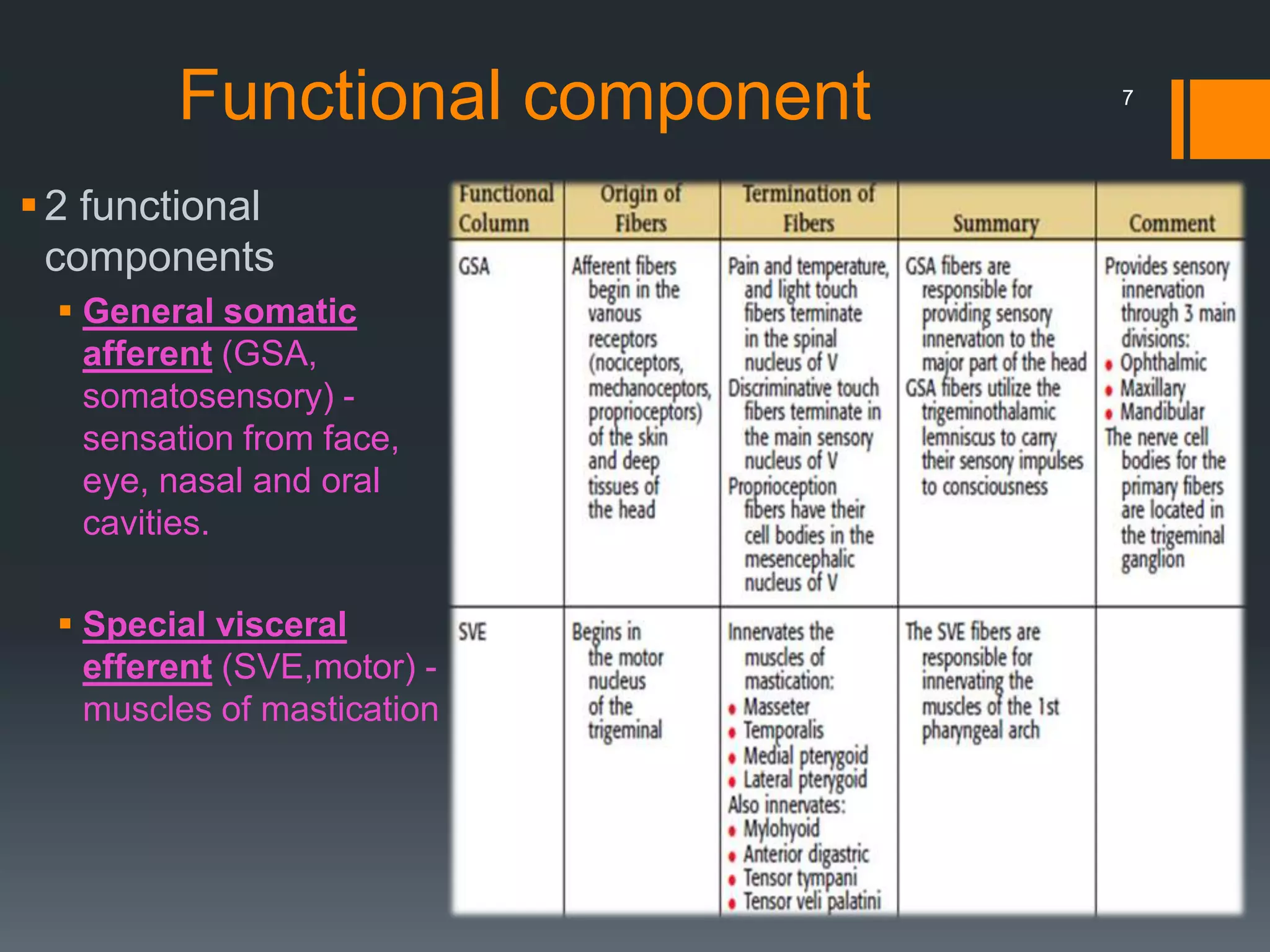 Functional component
2 functional
components
 General somatic
afferent (GSA,
somatosensory) -
sensation from face,
eye, nasal and oral
cavities.
 Special visceral
efferent (SVE,motor) -
muscles of mastication
7
 