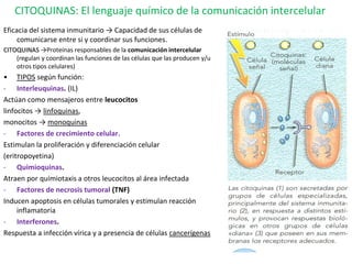 7
CITOQUINAS: El lenguaje químico de la comunicación intercelular
Eficacia del sistema inmunitario → Capacidad de sus célu...