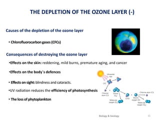 11
Consequences of destroying the ozone layer
• The loss of phytoplankton
THE DEPLETION OF THE OZONE LAYER (-)
Causes of the depletion of the ozone layer
•Effects on the body´s defences
• Effects on sight: blindness and cataracts.
•UV radiation reduces the efficiency of photosynthesis
•Effects on the skin: reddening, mild burns, premature aging, and cancer
• Chlorofluorocarbongases (CFCs)
Biology & Geology
 