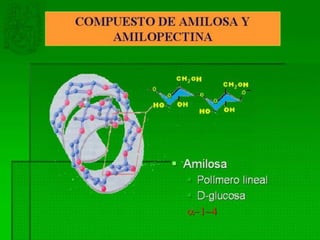 T.2 almidones. química