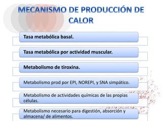 Tasa metabólica basal.
Tasa metabólica por actividad muscular.
Metabolismo de tiroxina.
Metabolismo prod por EPI, NOREPI, y SNA simpático.
Metabolismo de actividades químicas de las propias
células.
Metabolismo necesario para digestión, absorción y
almacena/ de alimentos.
 