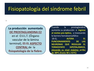 Fisiopatología del síndrome febril
.
38
La producción aumentada
DE PROSTAGLANDINA E2
en el O.V.L.T. (Órgano
vascular de la lámina
terminal), ES EL ASPECTO
CENTRAL de la
fisiopatología de la fiebre.
Cuando la prostaglandina
aumenta su producción e ingresa
al núcleo pre-óptico, a travesando
la barrera hematoencefálica
(B-E), ALTERA EL
FUNCIONAMIENTO DE LAS
NEURONAS QUE REGULAN EL
TERMOSTATO HIPOTALÁMICO,
elevando su nivel máximo arriba
de 38ºC.(hasta 40 o 41ºC)
 